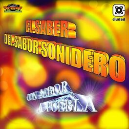 Album cover of El Saber del Sabor Sonidero (Con Sabor a Puebla)