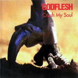 Album cover of Crush My Soul