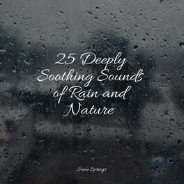 Album cover of 25 Deeply Soothing Sounds of Rain and Nature