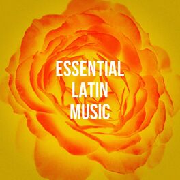 Album cover of Essential Latin Music