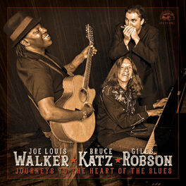 Album cover of Journeys To The Heart Of The Blues