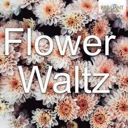 Album cover of Flower Waltz
