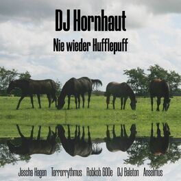 Album cover of Nie wieder Hufflepuff