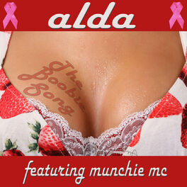 Album cover of The Boobie Song