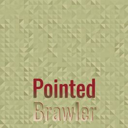 Album cover of Pointed Brawler