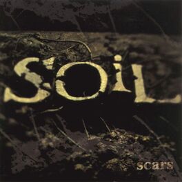 Album cover of Scars