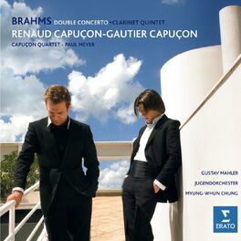 Album cover of Brahms: Double Concerto, Op. 102 & Clarinet Quintet, Op. 115