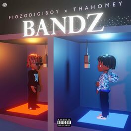 Album cover of BANDZ (feat. thaHomey)