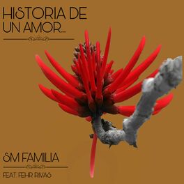 Album cover of Historia De Un Amor