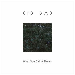 Album cover of What You Call a Dream