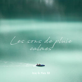 Album cover of Les Sons De Pluie Calmes