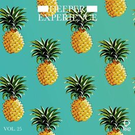 Album cover of Deeper Experience, Vol. 25