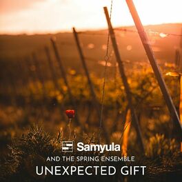 Album cover of Unexpected Gift
