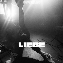 Album cover of Liebe (Radio Edit)