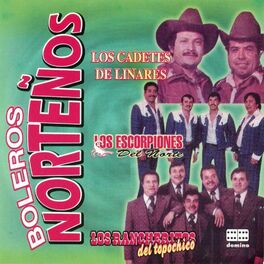 Album cover of Boleros Norteños