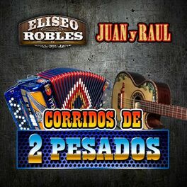 Album cover of Corridos De Dos Pesados