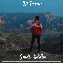Album cover of Səndə Bildim
