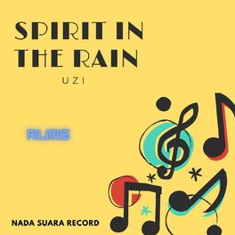 Album cover of Spirit in The Rain