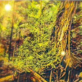 Album cover of Jungle Balance (Deep Relaxation Frequencies)