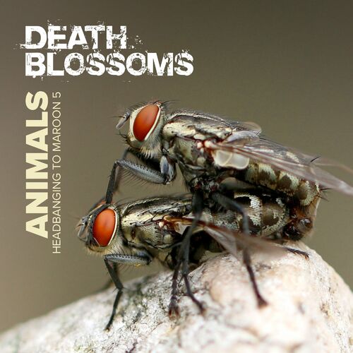Death Blossoms - Animals (Headbanging to Maroon 5): lyrics and songs |  Deezer