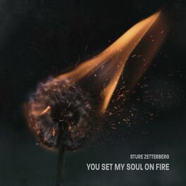 Album cover of You Set My Soul on Fire