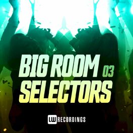 Album cover of Big Room Selectors, 03