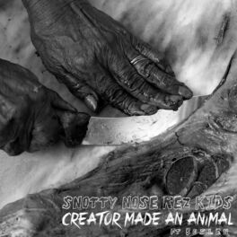 Album cover of Creator Made an Animal