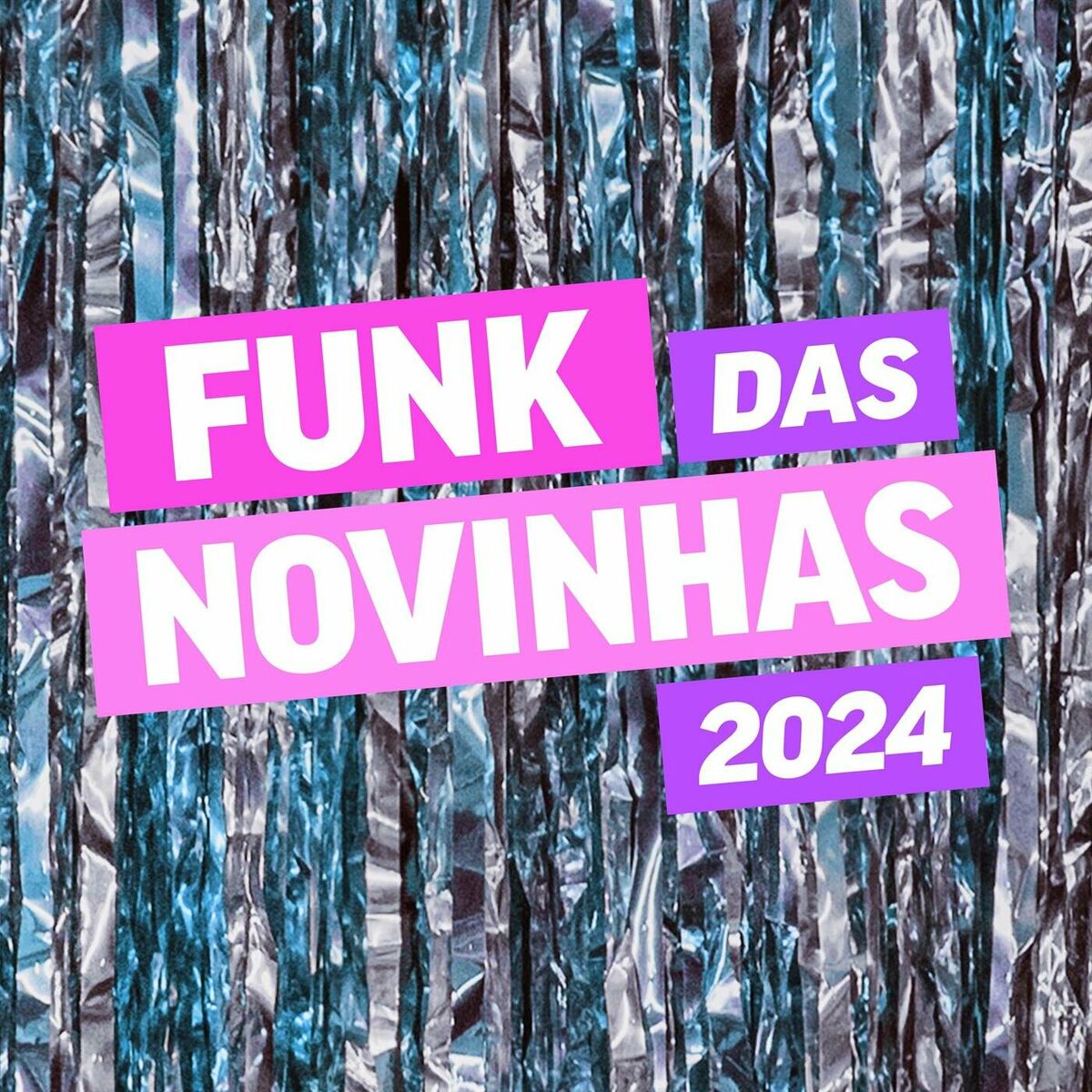 Varios Artistas - Funk das Novinhas 2024: letras de canciones | Deezer