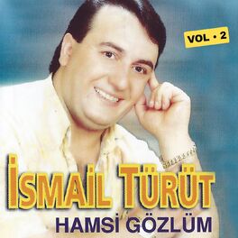 Album cover of Hamsi Gözlüm, Vol. 2