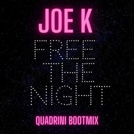 Album cover of Free the Night (Quadrini Bootmix)