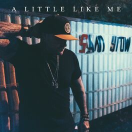 Album cover of A Little Like Me