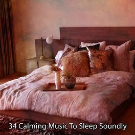 Album cover of 34 Calming Music To Sleep Soundly