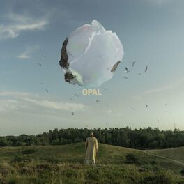Album cover of Opal