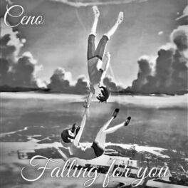 Album cover of Falling for You