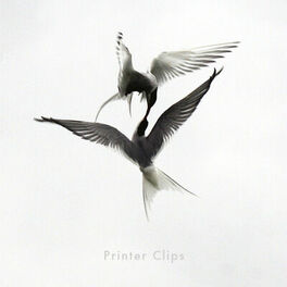 Album cover of Printer Clips