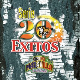 Album cover of Serie 20 Exitos