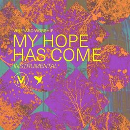 Album cover of My Hope Has Come (Instrumental)