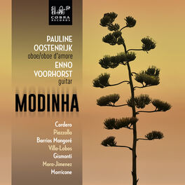Album cover of Modinha