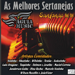 Album cover of As Melhores Sertanejas Sanfonas, Vol. 4