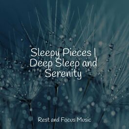 Album cover of Sleepy Pieces | Deep Sleep and Serenity
