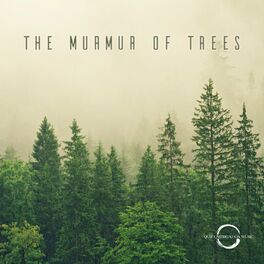 Album cover of The Murmur of Trees