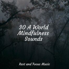 Album cover of 30 A World Mindfulness Sounds