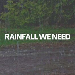 Album cover of Rainfall We Need