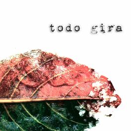 Album cover of Todo Gira