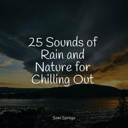 Album cover of 25 Sounds of Rain and Nature for Chilling Out