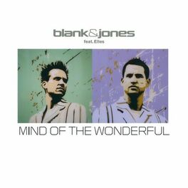 Album cover of Mind of the Wonderful (All Mixes)
