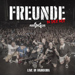 Album cover of Freunde (Live in Hamburg)