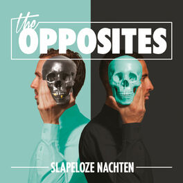 Album cover of Slapeloze Nachten