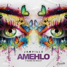 Album cover of Amehlo
