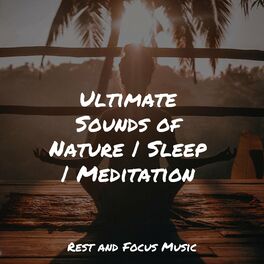 Album cover of Ultimate Sounds of Nature | Sleep | Meditation